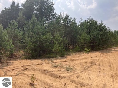 Parcel F-3 N 2 1 2 Rd, Hanover Township, MI 49620 - photo 3