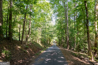 0 Brittany Cove Cir, Gumlog, GA 30553 - photo 2