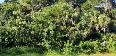 1149 Fleetwood Dr NW, Port Charlotte, FL 33948 - photo 3