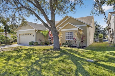 172 Lake Shore Dr W, Palm Harbor, FL 34684 - photo 3