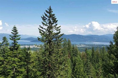 NNA Redtail Hawk Rd, Sandpoint, ID 83864 - photo 7