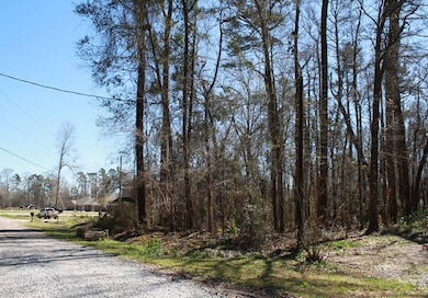 TBD Brooks Dr unit Lot  27, Denham Springs, LA 70726 - photo 2