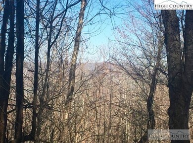 Ridgeline Views
