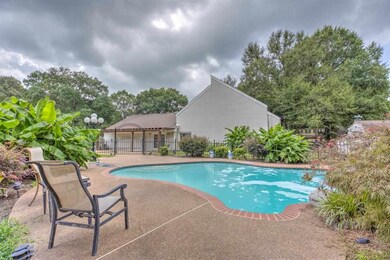 Gorgeous gunite pool with waterfall