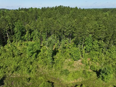 0 Canyon Rd, Lumpkin, GA 31815 - photo 6