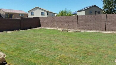 New Backyard Sod
