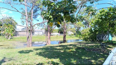 backyard pond
