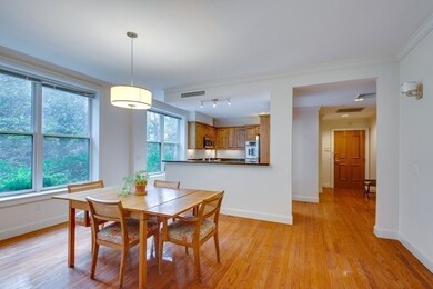 64 Sewall Ave unit 101, Brookline, MA 02446 - photo 6