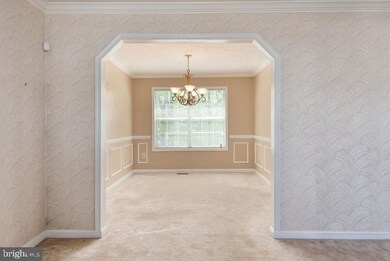 13 Harry Ct, Stafford, VA 22554 - photo 3