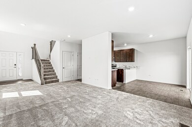 1892 E 110th Ln, Crown Point, IN 46307 - photo 7