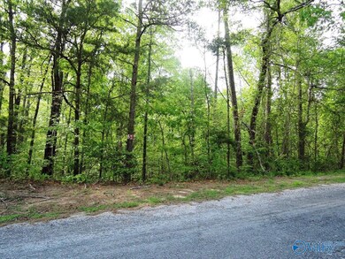 76 Harbor Light Trail, Jasper, AL 35504 - photo 2