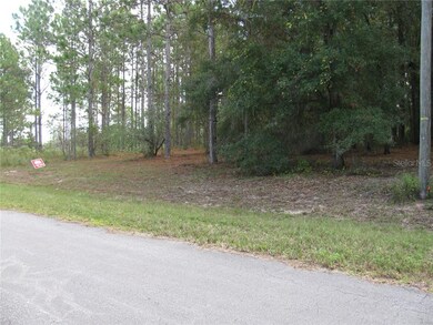 0 Malauka Loop unit G5027922, Ocklawaha, FL 32179 - photo 2
