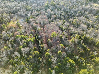 Lot 3-3 Bryant Rd, Unity, ME 04988 - photo 5