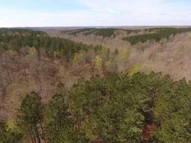 0 Mathis Cemetery Rd unit 2170394, Stewart, TN 37175 - photo 6