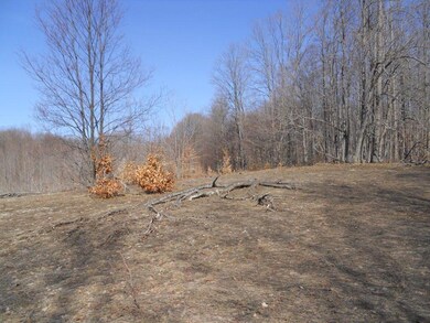 0 Sugar Maple Trail, Corwith Township, MI 49795 - photo 3