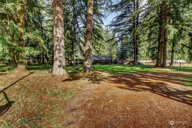 5412 133rd Ave SW, Rochester, WA 98579 - photo 7