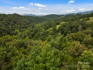 00 Crist View Dr unit 10, Marshall, NC 28753 - photo 2