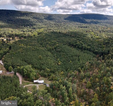 138 Mchenry Ln, Berkeley Springs, WV 25411 - photo 7