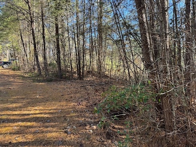 Lot 32 E Ridge Ln, Ellijay, GA 30536 - photo 7