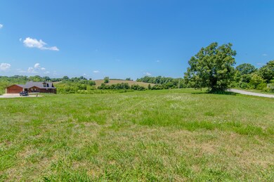 Lot 5 Leighs Way, Reeds Spring, MO 65737 - photo 7