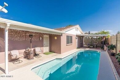 pic31-backyard