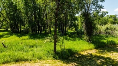 003_dji_20240710122738_0558_d_670