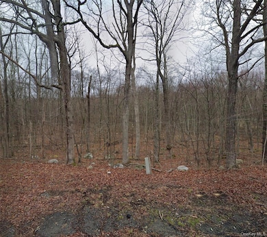 0 County Road 49, Middletown, NY 10940 - photo 2