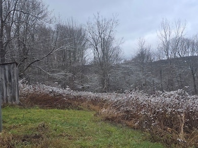 0WP Piety Hill Rd, Cincinnatus, NY 13040 - photo 7