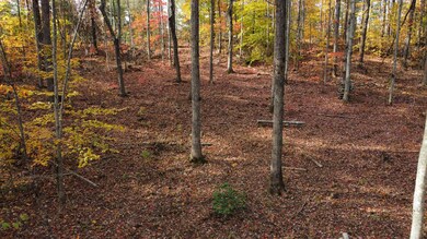 dji_fly_20241028_152208_437_173014401533