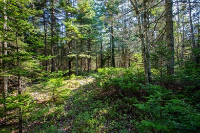 14-Lot8RockGardenWay-SealHarbor