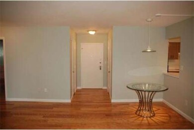 Hammond Park Condominiums unit 207, Chestnut Hill, MA 02467 - photo 4