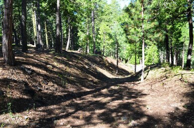 3112 Apache Rd, Arnold, CA 95223 - photo 5