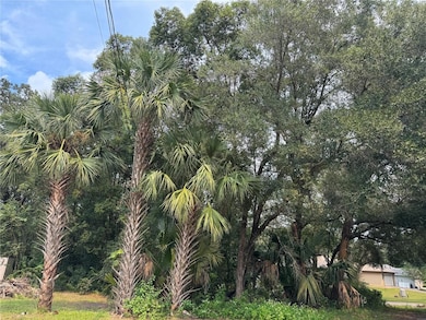 From the left side of the lot.