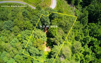 216 Toccoa River Forest Ln, Mineral Bluff, GA 30559 - photo 3