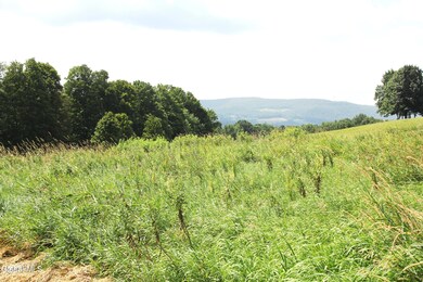 286 Myers Rd, Cobleskill, NY 12092 - photo 6