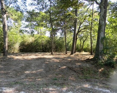 0 Old Joseph Rd, Hockley, TX 77447 - photo 2