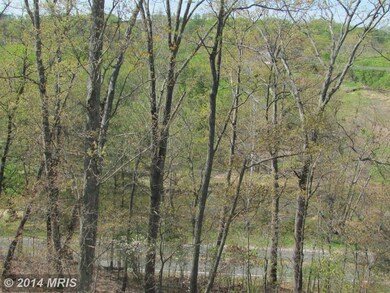 2384 Battery Hill Cir, Woodbridge, VA 22191 - photo 3