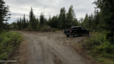 IMG_0553