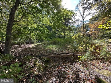 23628 Canvasback Rd, Chestertown, MD 21620 - photo 2