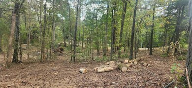 252 Beatrice Ct NE, Ranger, GA 30734 - photo 3