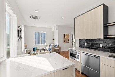 33 Haverford St unit 1, Jamaica Plain, MA 02130 - photo 7