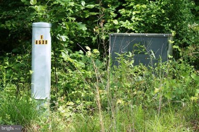 6539 Lawyers Rd, Spotsylvania, VA 22551 - photo 2