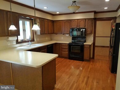 310 Woodfield Dr, Spotsylvania, VA 22553 - photo 5