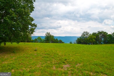 1984 Brow Rd, Trenton, GA 30752 - photo 6