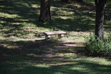 234 County Road 102, Oxford, MS 38655 - photo 2