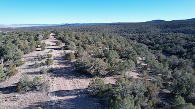 51824 N Cordero Rd unit 3384, Seligman, AZ 86337 - photo 7