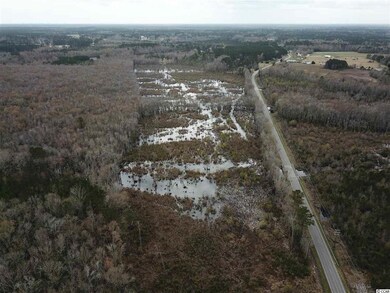 4000 Highway 19, Conway, SC 29526 - photo 7