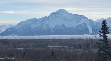 2525 N Larkspur Hill Cir, Gateway, AK 99645 - photo 2