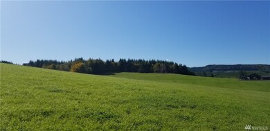 0 Cousins Rd unit 1530028, Chehalis, WA 98532 - photo 5