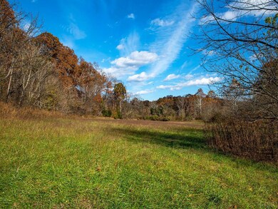 273 Airsports Dr, Amherst, VA 24521 - photo 6